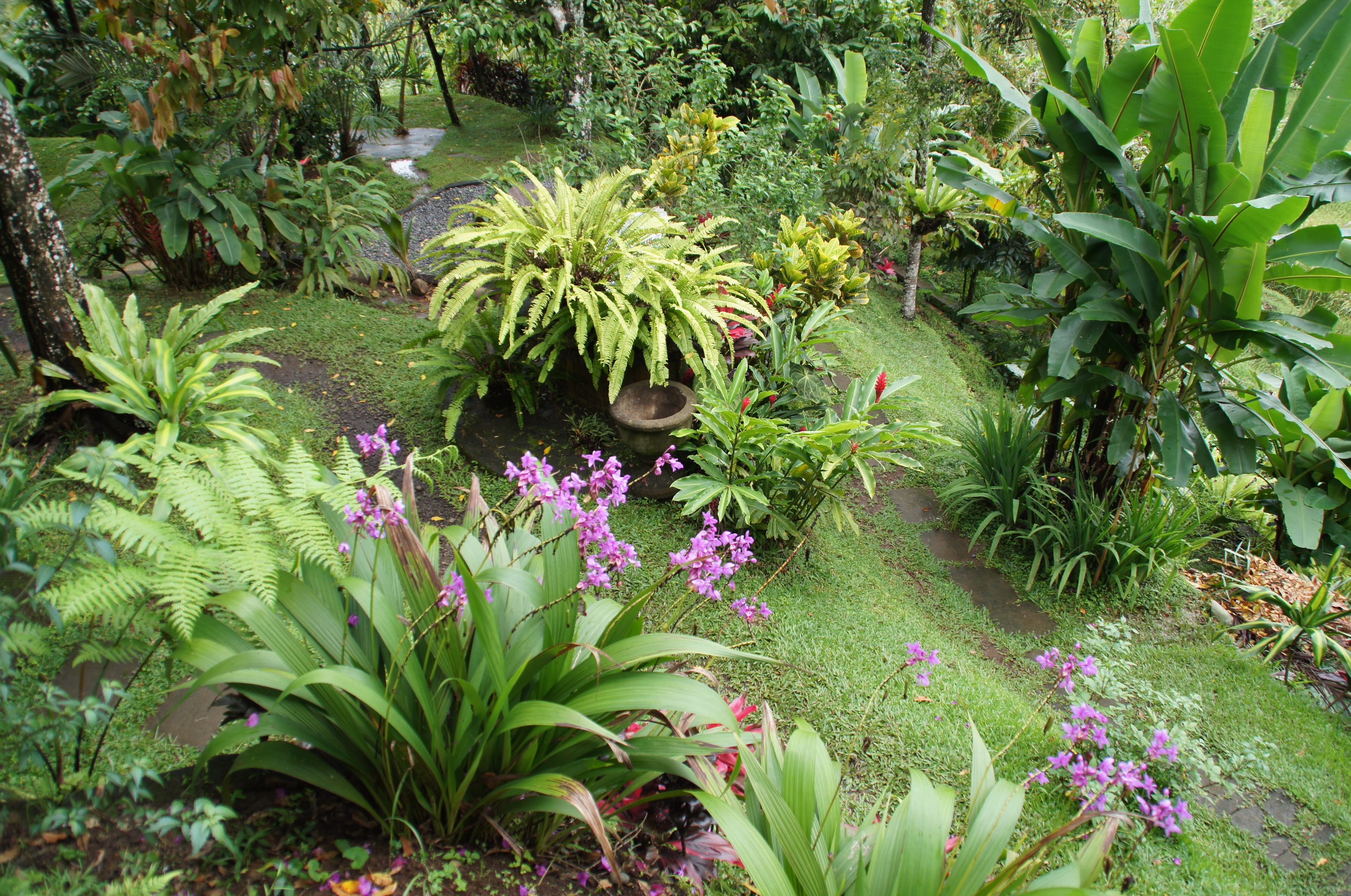 DSC00325