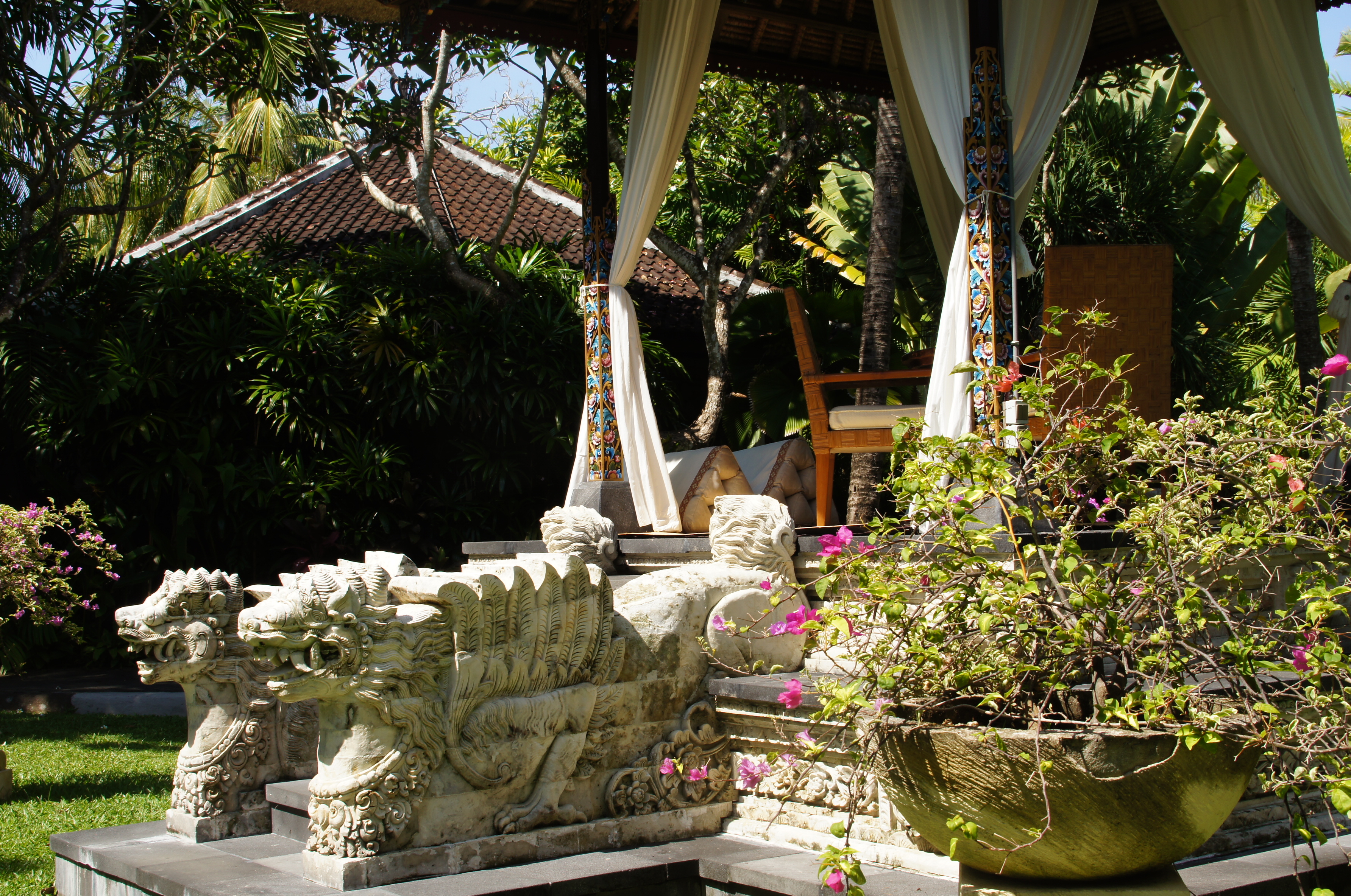 DSC00628